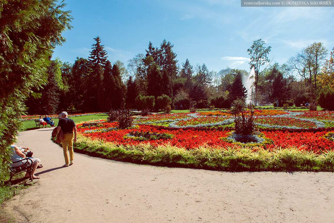 park zdroj